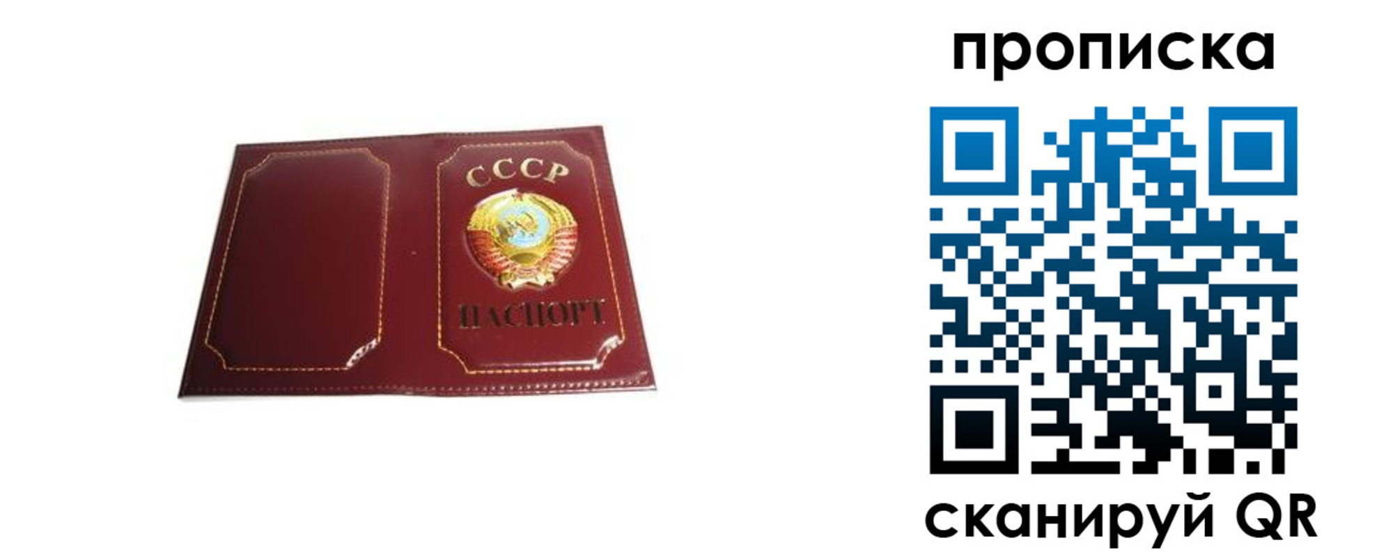 прописка гарантия в Озёрах